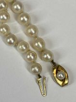SINGLE STRAND UNIFORM CULTURED PEARL NECKLACE WITH 9CT GOLD CLASP, 78 individually hand knotted