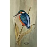 20TH CENTURY BRITISH SCHOOL finely detailed watercolour - a perched kingfisher, indistinctly