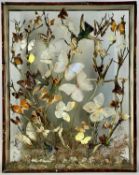VICTORIAN BAMBOO FRAMED DISPLAY CASE, glazed to both sides, containing taxidermy hummingbirds and