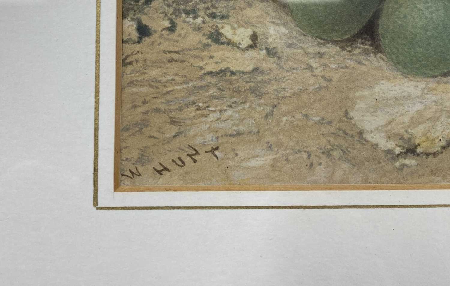 WILLIAM HUNT (1790-1864) RWS watercolours a pair - still lives of fruit, signed 16.5 x 27.5cms - Image 2 of 6