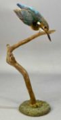 TAXIDERMY KINGFISHER, 20th century, modelled diving from a branch with circular naturalistic base,