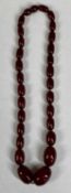 CHERRY AMBER SINGLE STRAND NECKLACE, graduating oval beads, 23mms (the largest), approx. 40cms (