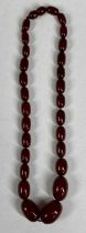 CHERRY AMBER SINGLE STRAND NECKLACE, graduating oval beads, 23mms (the largest), approx. 40cms (