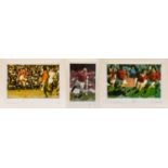 RUGBY GREATS SERIES LIMITED EDITION COLOURED PRINTS including, British Lions Tour South Africa