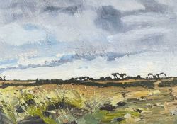 VIRGINIA BOUNDS (Australian b.1965) oil on canvas - 'Rain Approaching Over Goonhilly, Winter