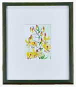 ‡ LOUISE YOUNG mixed media - lilies, signed with initials, dated '09, 16 x 12cms Provenance: private