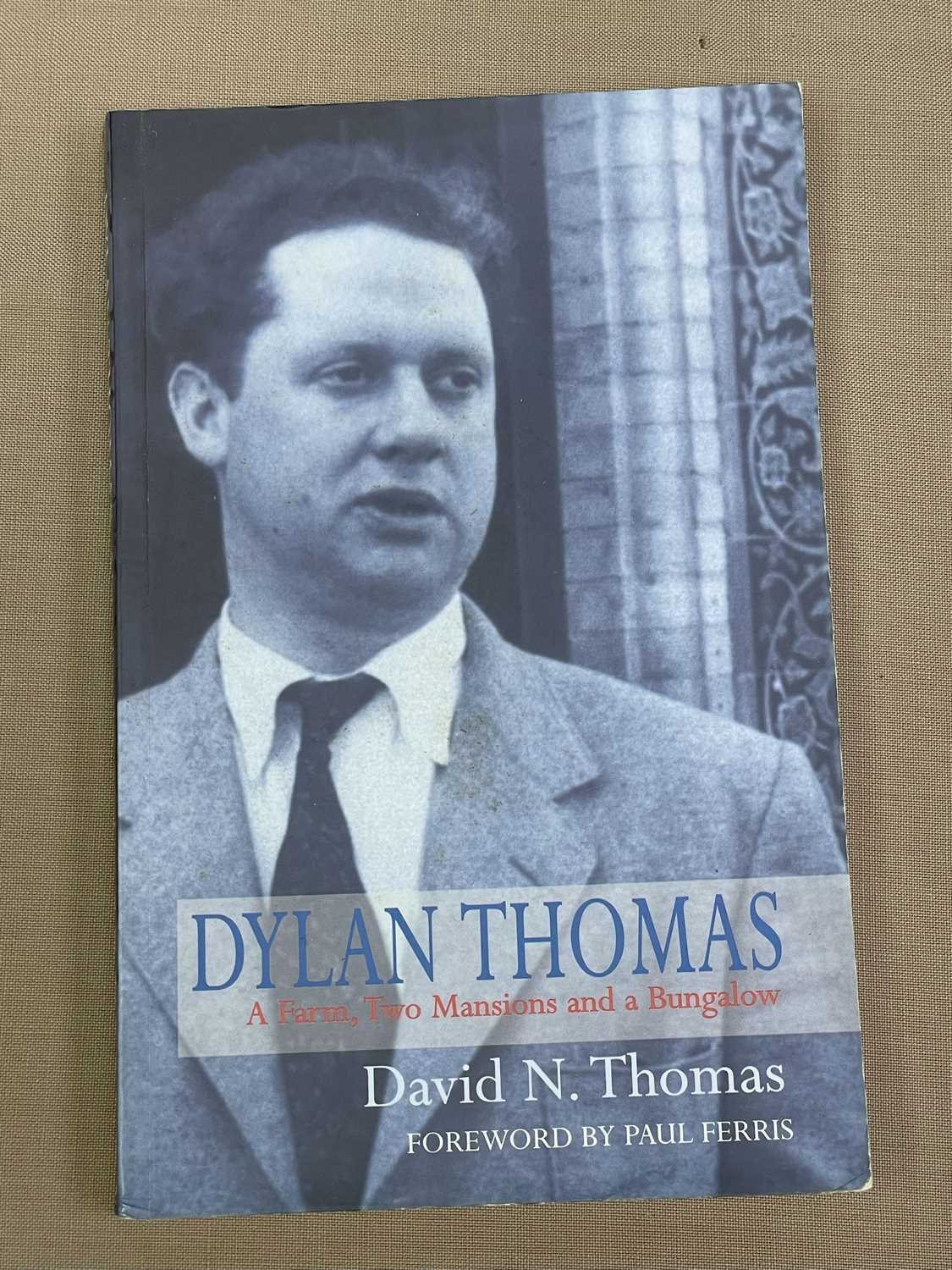 COLLECTION OF DYLAN THOMAS BIOGRAPHIES, PUBLISHED LETTERS & REFERENCE BOOKS (please see online - Image 6 of 30