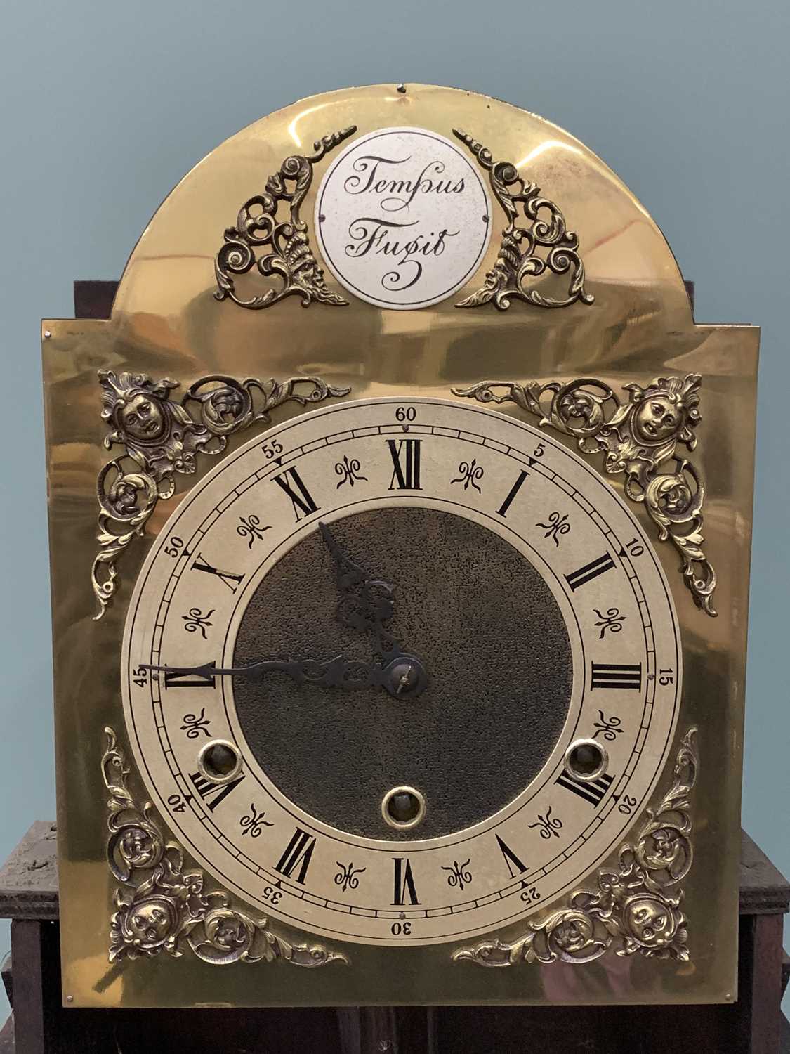 POLISHED OAK DOME TOPPED LONGCASE CLOCK with silvered dial, no weights, 189 (h) x 47 (w) x 29 (d) - Image 15 of 19
