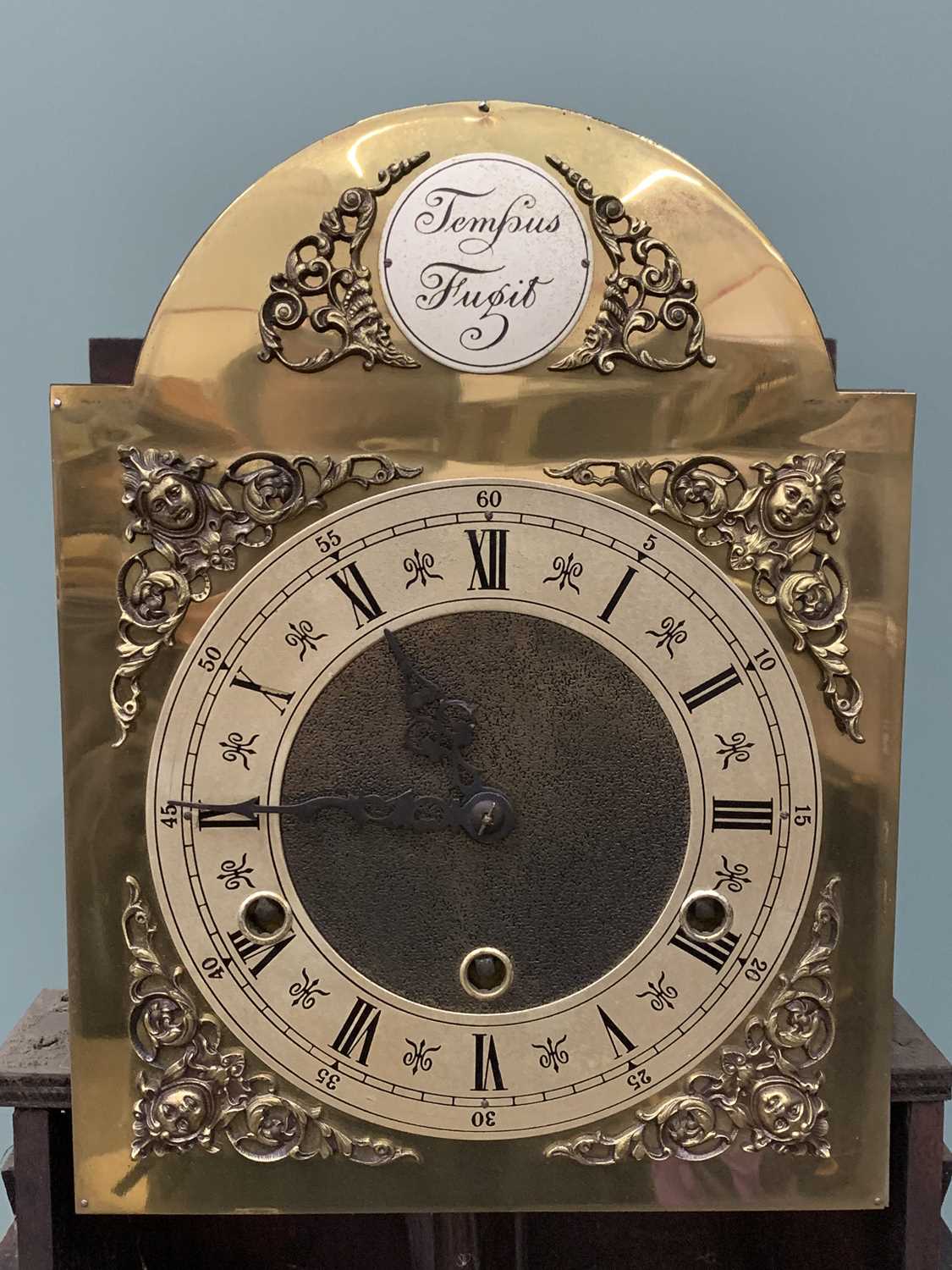 POLISHED OAK DOME TOPPED LONGCASE CLOCK with silvered dial, no weights, 189 (h) x 47 (w) x 29 (d) - Image 19 of 19