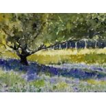‡ DAVID GROSVENOR watercolour - tree in field of wildflowers, signed lower right, 24.5 x 34.5cms
