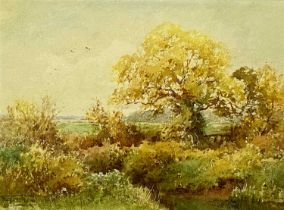 ‡ HENRY JOHN SYLVESTER STANNARD (British 1870 - 1951) watercolour - title verso 'Greenfield Moor',
