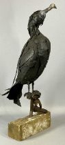 CONTEMPORARY PAINTED METAL SCULPTURE OF A CORMORANT, standing on steel post with shackle, on