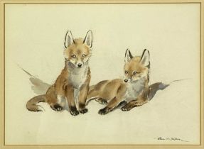 EILEEN A. SOPER (British 1905-1990) watercolour - two fox cubs, signed lower right, label verso