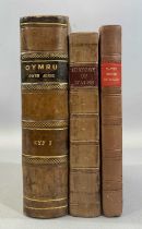 WELSH HISTORY & BOTANY THREE ANTIQUARIAN VOLUMES - Sir John Price, The History of Wales, published