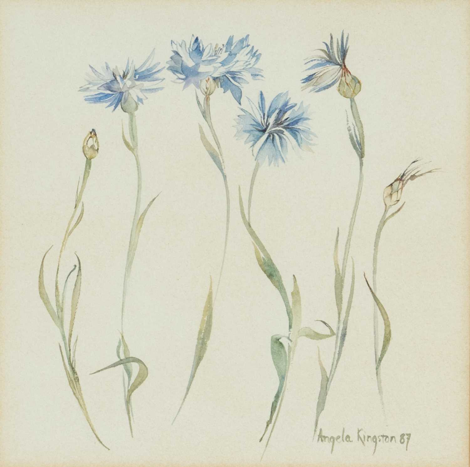 ANGELA KINGSTON, watercolour - four botanical studies, 'Tiger Pink', initialed lower right, Japanese - Image 2 of 5