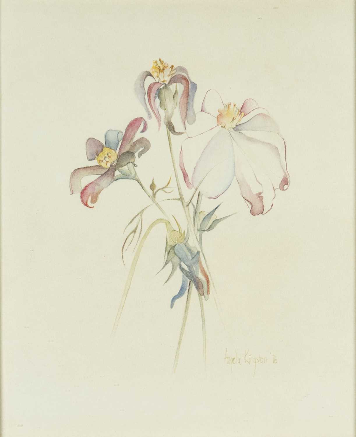 ANGELA KINGSTON, watercolour - four botanical studies, 'Tiger Pink', initialed lower right, Japanese - Image 3 of 5