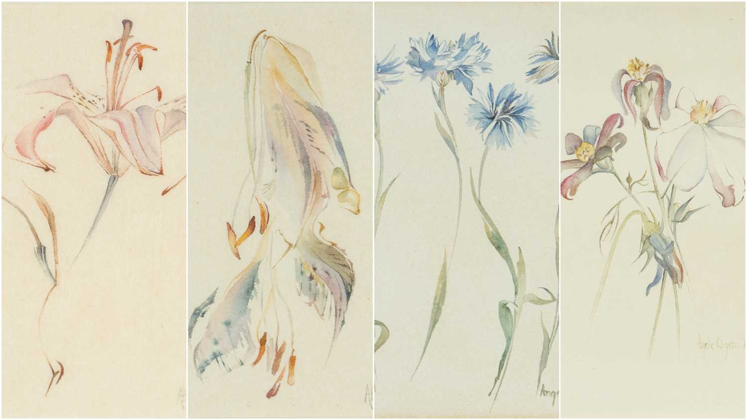 ANGELA KINGSTON, watercolour - four botanical studies, 'Tiger Pink', initialed lower right, Japanese