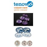 CHARITY LOT BENEFITING TENOVUS CANCER CARE featuring lots generously donated by our clients,