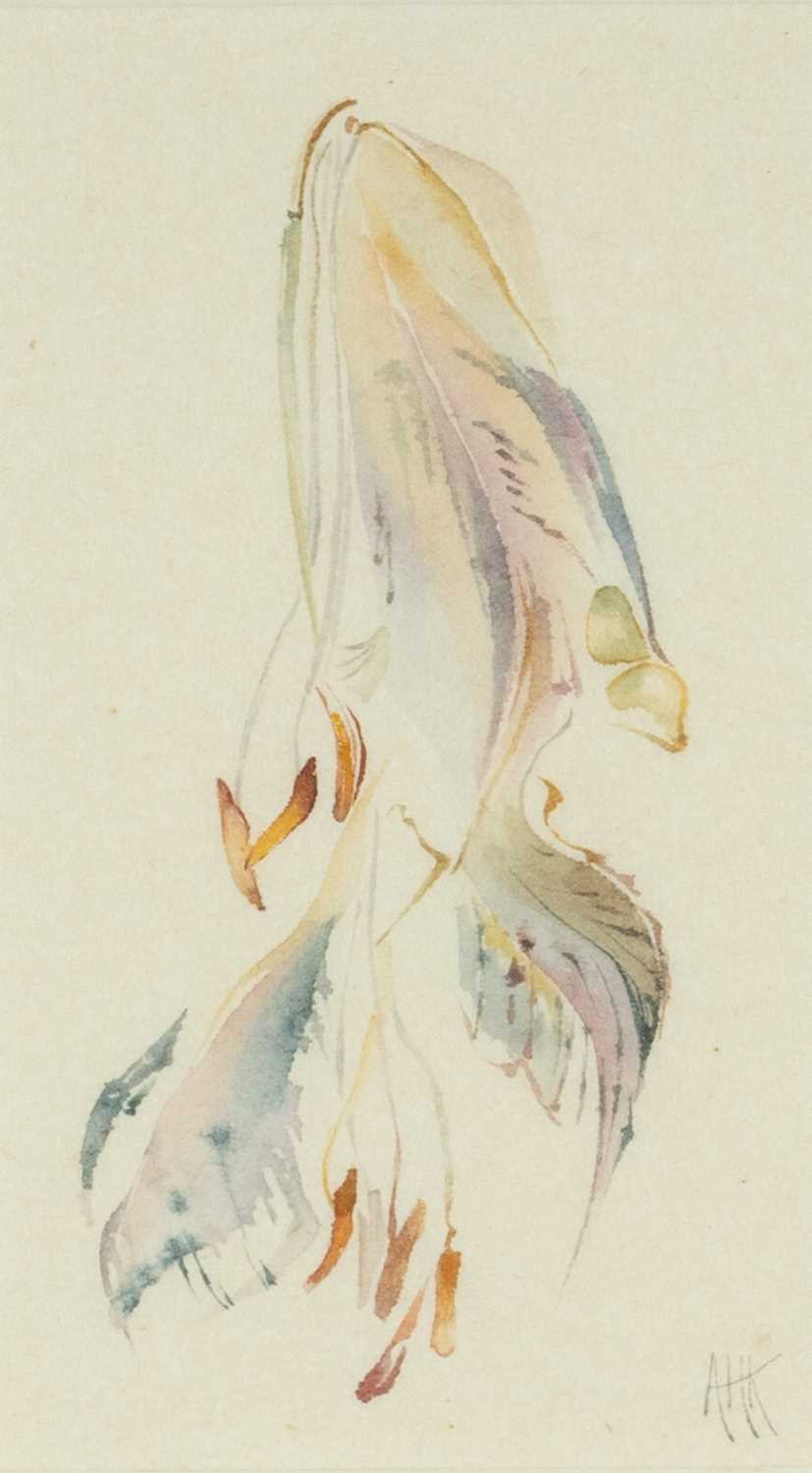 ANGELA KINGSTON, watercolour - four botanical studies, 'Tiger Pink', initialed lower right, Japanese - Image 5 of 5