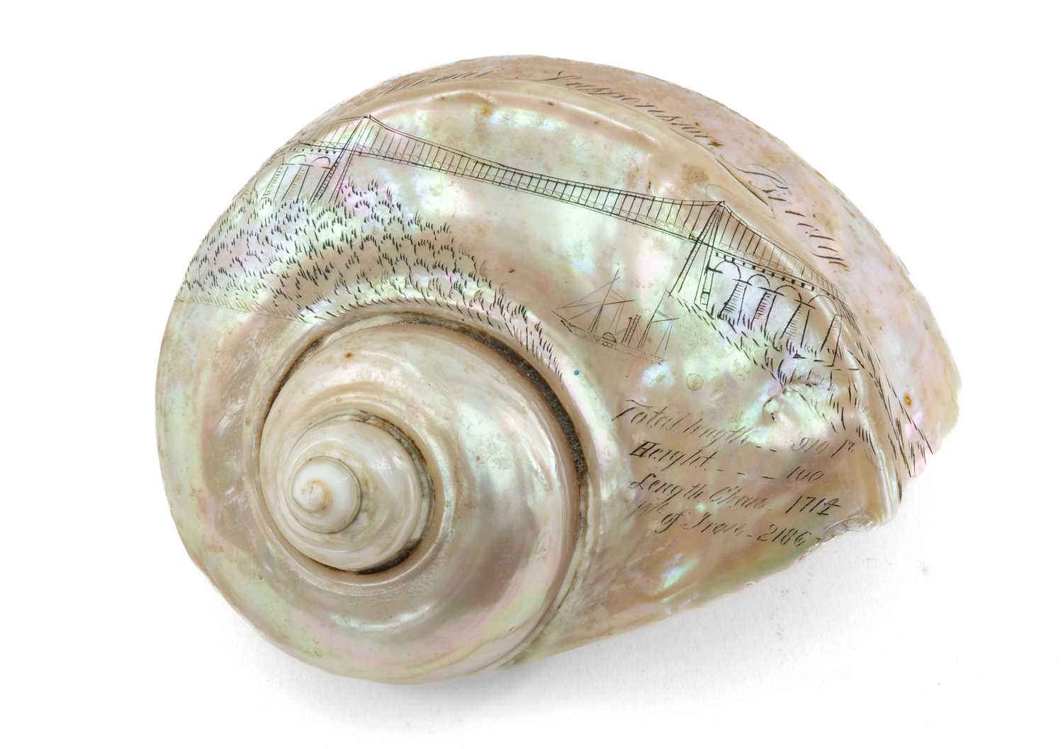 RARE WELSH SCRIMSHAW PEARLY TURBAN SHELL SOUVENIR mid-19th Century, relating to Ynys Mon (