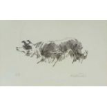 ‡ KYFFIN WILLIAMS RA artist's proof lithograph - Mott the sheepdog, signed in pencil, 30 x 40cms