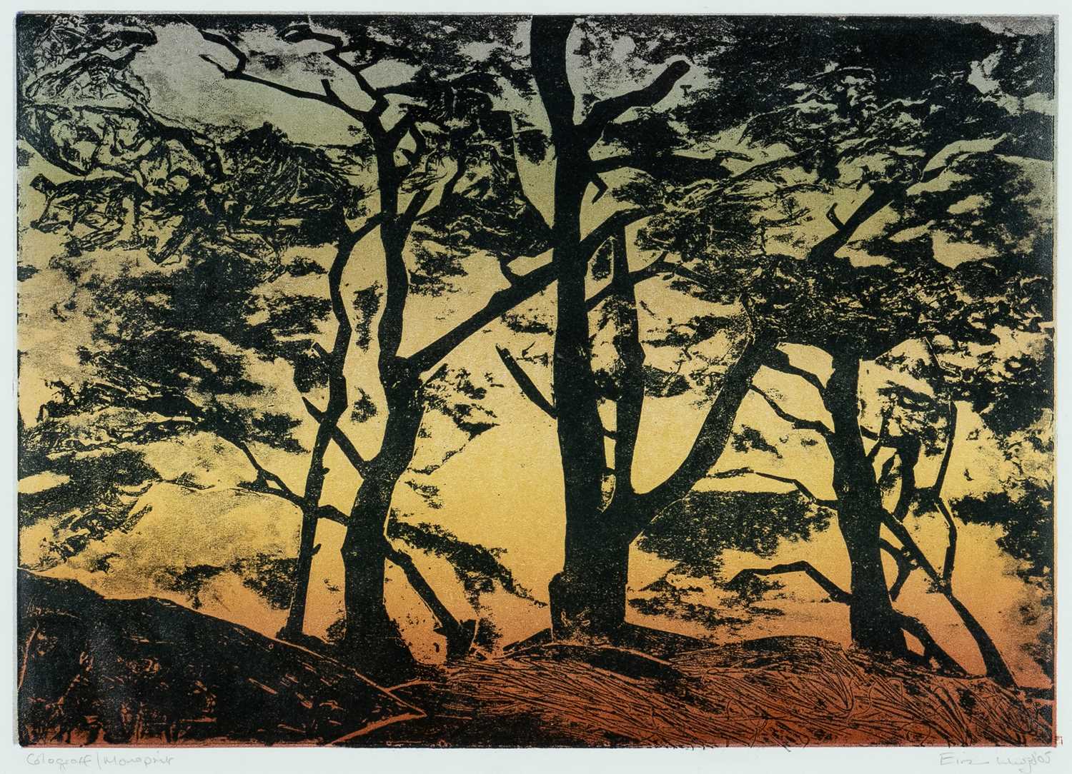 ‡ EIRIAN LLWYD (Welsh 1951-2014) colograff/monoprint - a pair, woodland scene at sunset together - Image 2 of 5