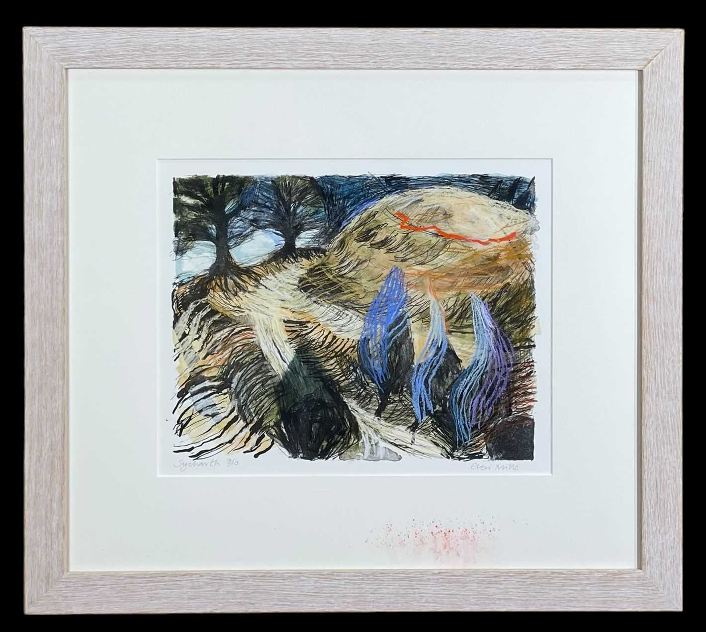 ‡ ELERI MILLS (Welsh b.1955) limited edition (9/10) hand coloured lithograph - entitled verso, ' - Image 2 of 2
