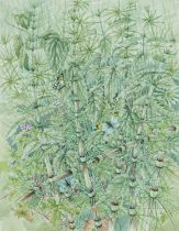 ‡ MILDRED ELSI ELDRIDGE (1909-1991) watercolour - entitled verso, 'Orange Tip Butterflies on Horse