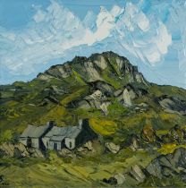 ‡ MARTIN LLEWELLYN (Welsh b.1963) oil on canvas - entitled verso, 'Cottage, Garn Fawr' on Fountain