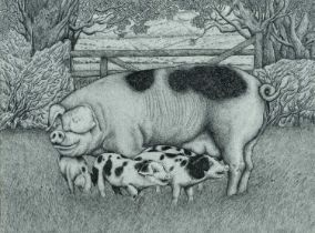 ‡ SEREN BELL (b.1950) ink on paper - entitled verso, 'Spot with Piglets', 38 x 50cms Provenance: