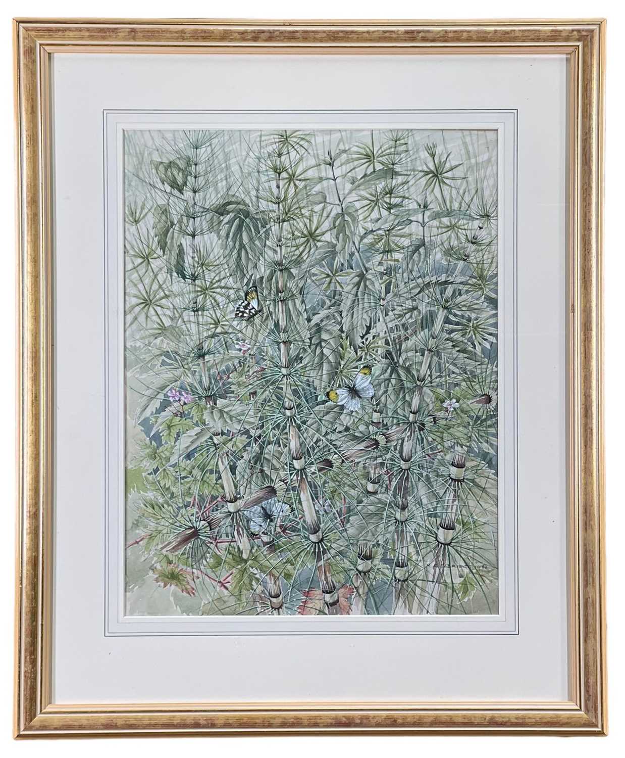 ‡ MILDRED ELSI ELDRIDGE (1909-1991) watercolour - entitled verso, 'Orange Tip Butterflies on Horse - Image 2 of 2