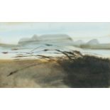 ‡ ROGER CECIL (Welsh 1942-2015) watercolour - landscape with grasses, signed and dated '68, 30 x