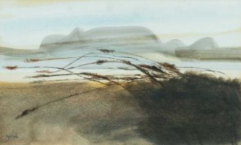 ‡ ROGER CECIL (Welsh 1942-2015) watercolour - landscape with grasses, signed and dated '68, 30 x