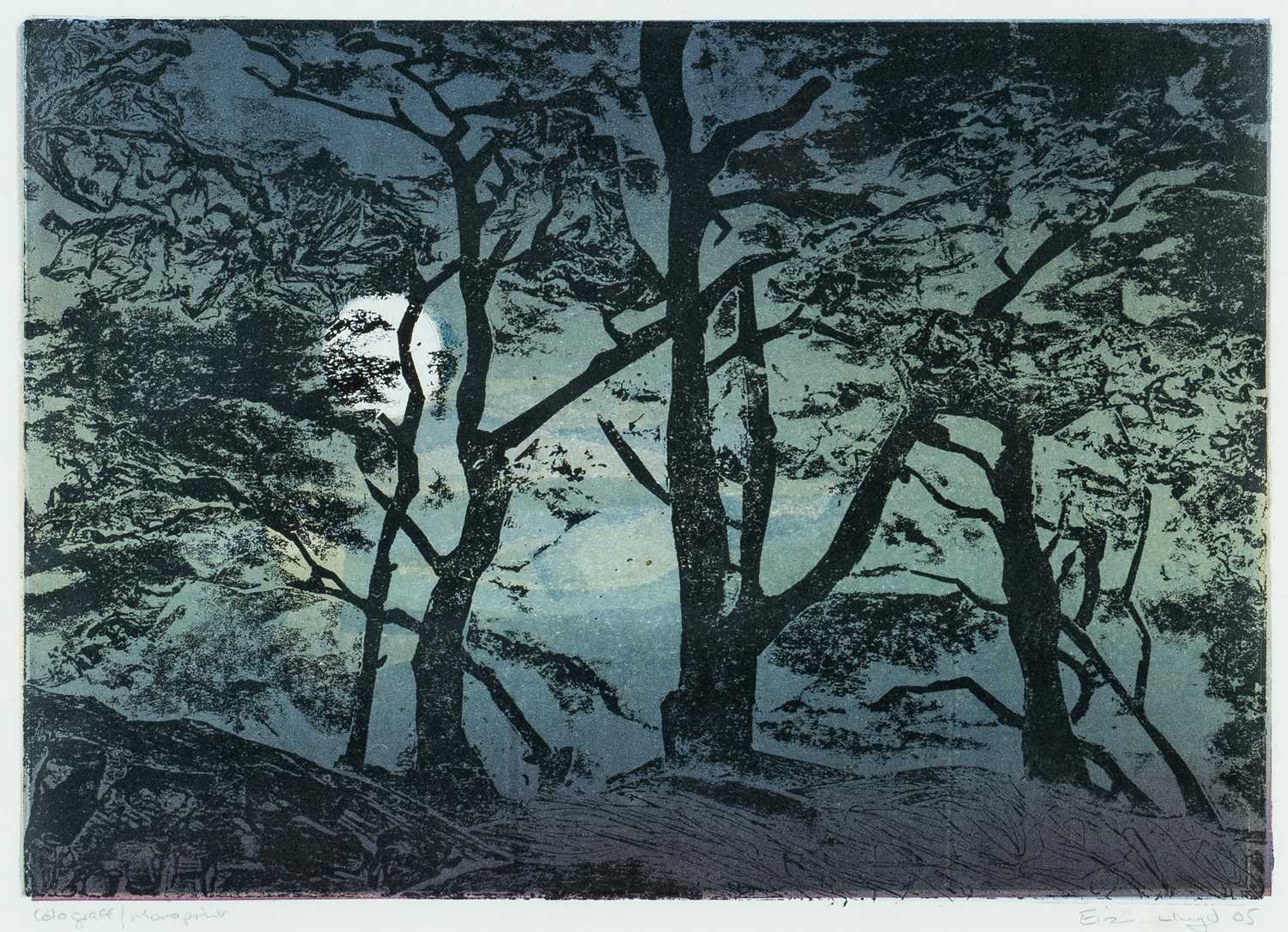 ‡ EIRIAN LLWYD (Welsh 1951-2014) colograff/monoprint - a pair, woodland scene at sunset together - Image 4 of 5