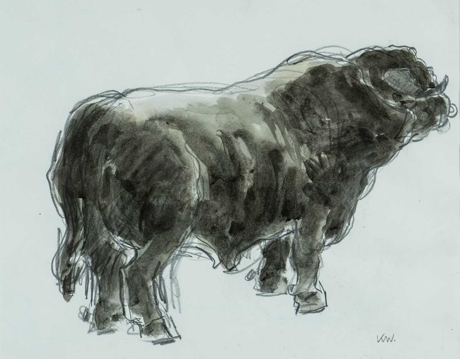 ‡ SIR KYFFIN WILLIAMS RA pencil and watercolour - entitled verso, 'Welsh Black Bull' on Thackeray