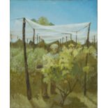 ‡ JOAN BAKER (1922-2017) oil on canvas - entitled verso, 'Fruit Cage' on Martin Tinney Gallery