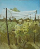 ‡ JOAN BAKER (1922-2017) oil on canvas - entitled verso, 'Fruit Cage' on Martin Tinney Gallery