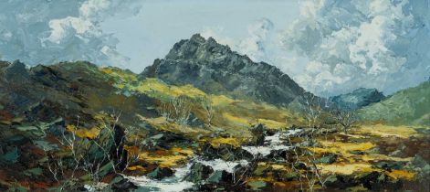 ‡ CHARLES WYATT WARREN (Welsh 1908-1993) oil on board - the peak of Tryfan with stream and trees,