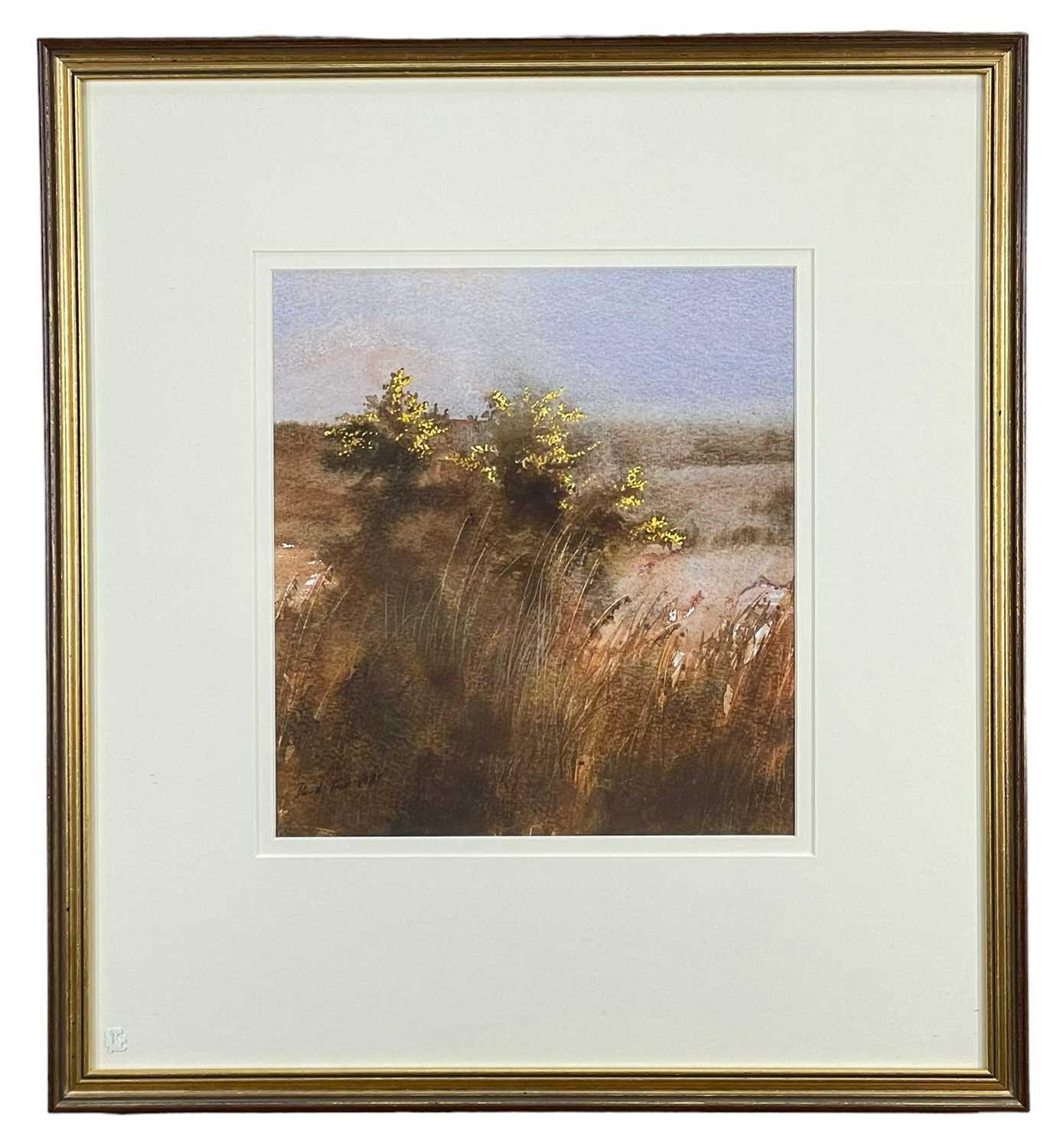 DAVID TRESS (b.1955) watercolour - flowering gorse bush, signed and dated '87, 31 x 29cms - Image 2 of 2
