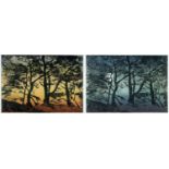 ‡ EIRIAN LLWYD (Welsh 1951-2014) colograff/monoprint - a pair, woodland scene at sunset together