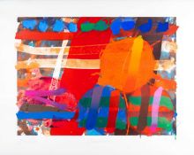 ALBERT IRVIN (1922-2015), limited edition screenprint (27/90) - 'Copperas', dated '91, signed, dated