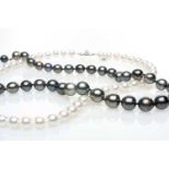 MIKIMOTO STRAND OF PEARLS, 18ct white gold clasp in protective case cover, with strand of black