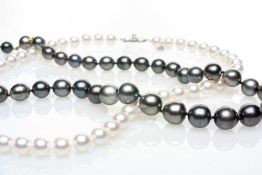 MIKIMOTO STRAND OF PEARLS, 18ct white gold clasp in protective case cover, with strand of black