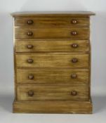 PINE TABLE-TOP SPECIMEN CHEST, six graduated long drawers, turned knob handles, 46 (h) x 37 (w) x