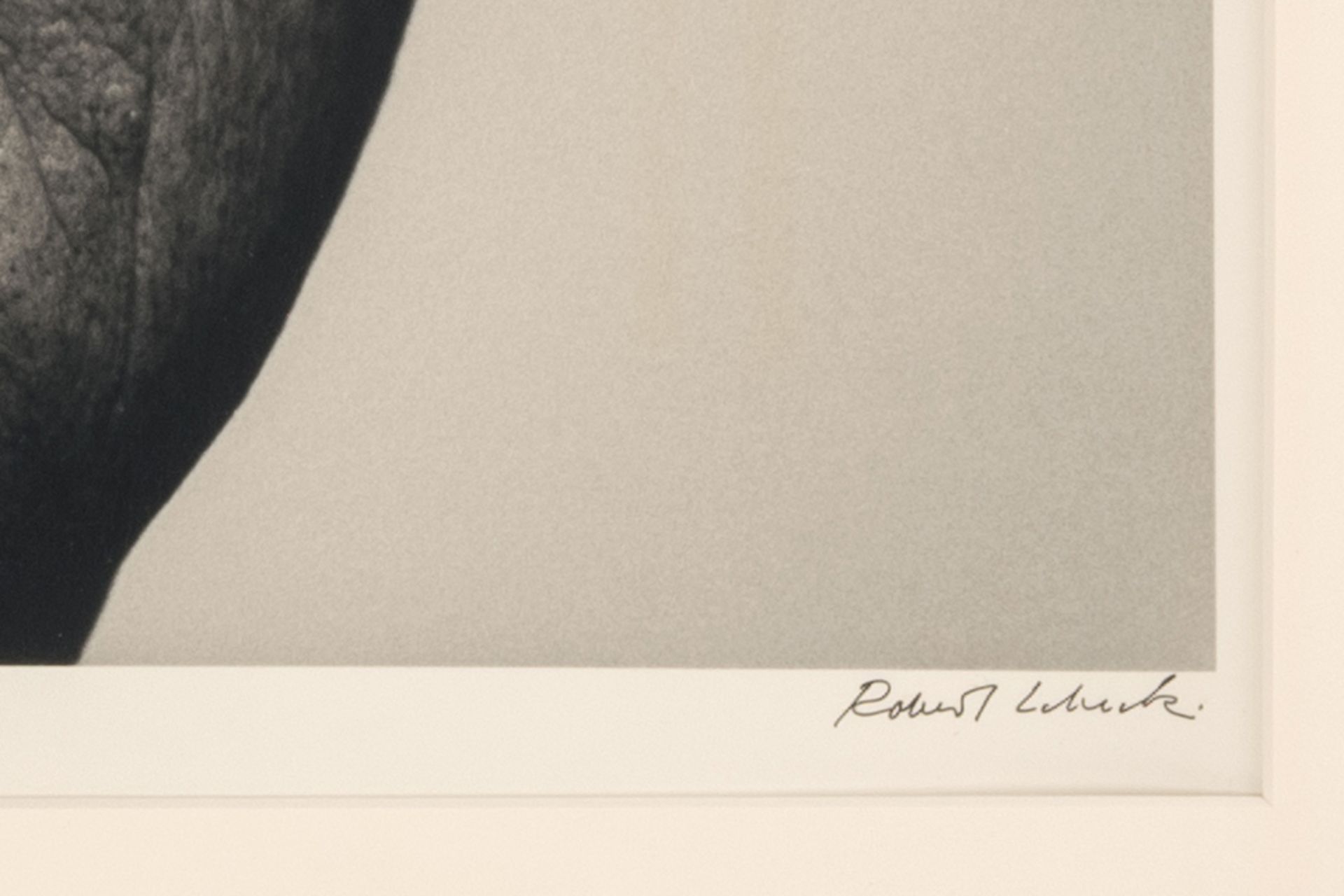 Robert Lebeck (1929 Berlin - 2014 ebenda) (F) - Bild 3 aus 3