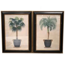 Two large decorative prints of Palms in Ornate Urns, in part gilded moulded wood frames, glazed (...