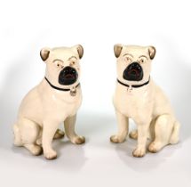 A pair of Staffordshire pottery Pug dogs. Legs free, white bodies, black muzzle and collar, red m...