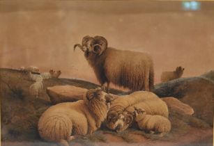 Frederick E. Valter (1850-1930) - Highland Sheep. Watercolour and gouache on paper, sight 41.7cm ...