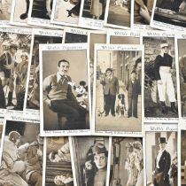 Cigarette Cards , 1931 Wills Cinema Stars (3rd Series). Full set including Walt Disney Rookie Car...