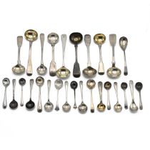 A collection of Georgian and later silver condiment spoons, 198 grams